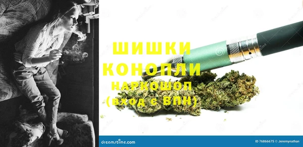 гидра Дмитров