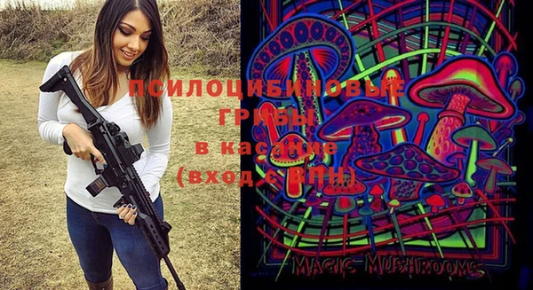 mdpv Гусь-Хрустальный