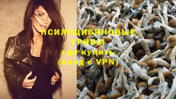 mdpv Гусь-Хрустальный