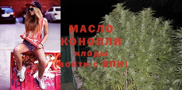 гидра Дмитров