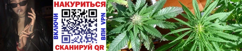 KRAKEN tor  Котлас  Конопля Bruce Banner 